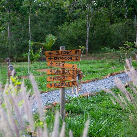 Hotel Nativo Glamping Barichara Exteriér fotografie