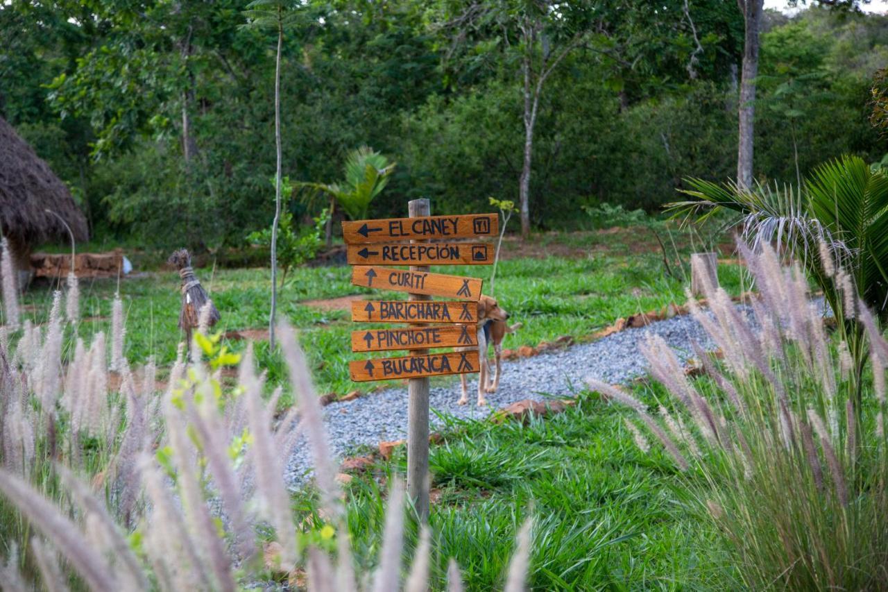 Hotel Nativo Glamping Barichara Exteriér fotografie
