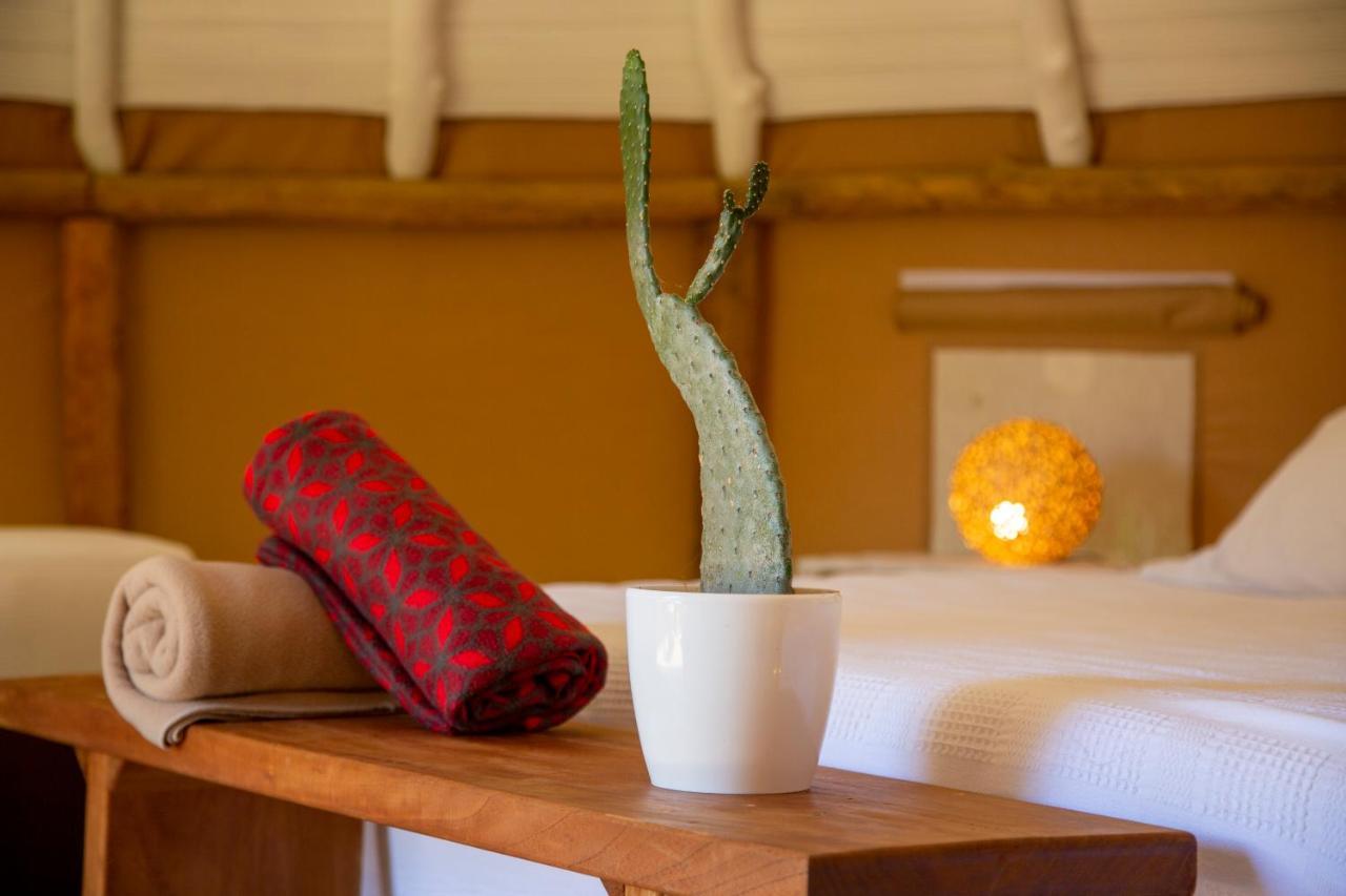 Hotel Nativo Glamping Barichara Exteriér fotografie