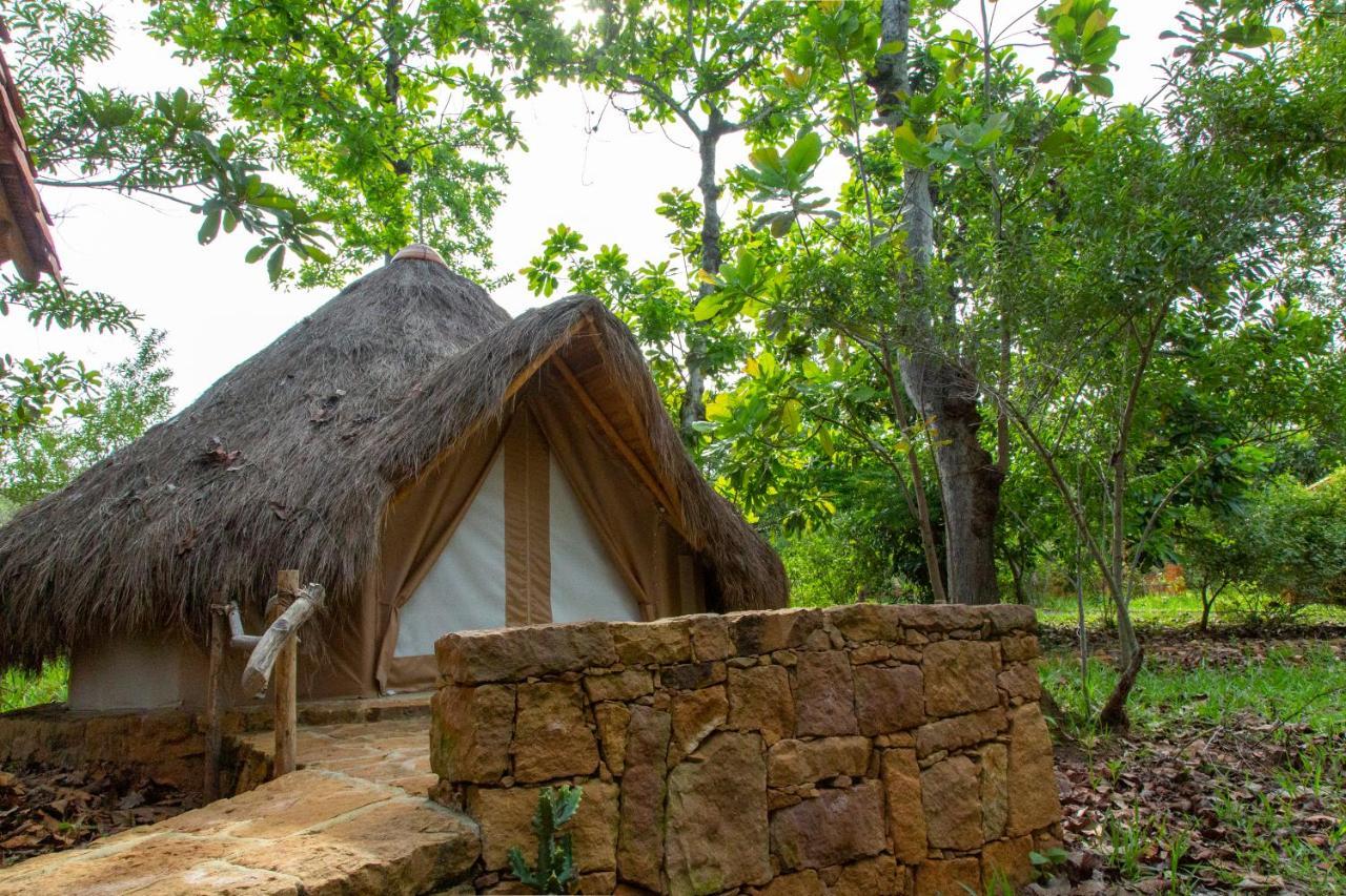 Hotel Nativo Glamping Barichara Exteriér fotografie